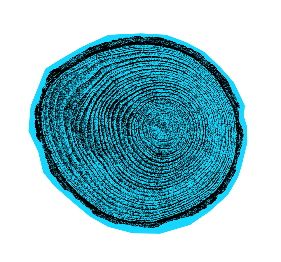 tree-rings@2x